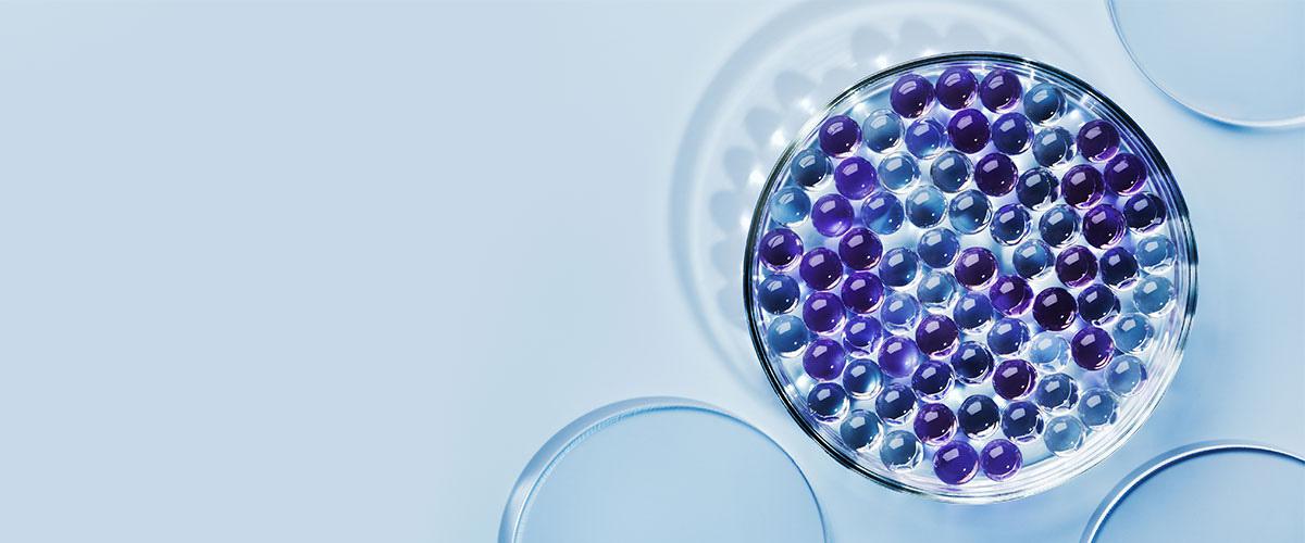 How to Add Ceramides to Your Winter Skincare for Proper Hydration?