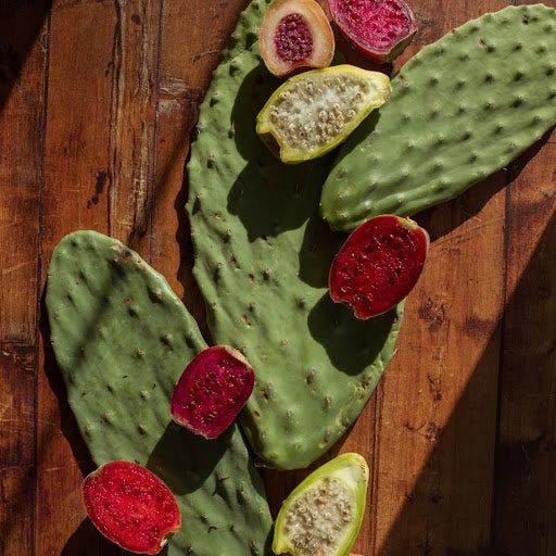 Cactus vs Aloe Vera: Which is Better for Your Skin?